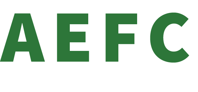 ACE ELITE FOUNDATION CORPORATION logo